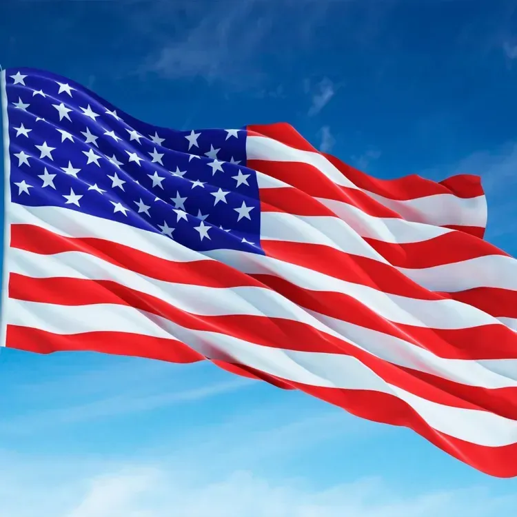 Free American Flags From Ace Hardware