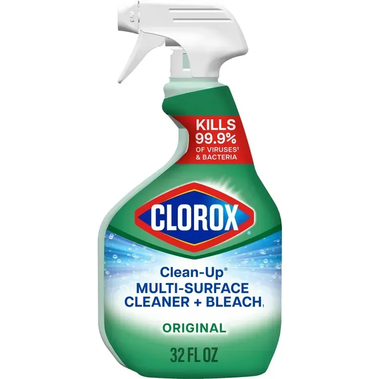 Free Clorox Gift Of Clean Package