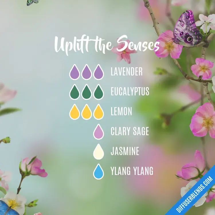 Free Essential Oil Blends Sample From Senses Marketplace