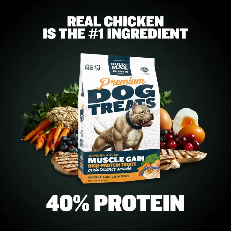 Free Full-size Bag Of Premium Dog Treats