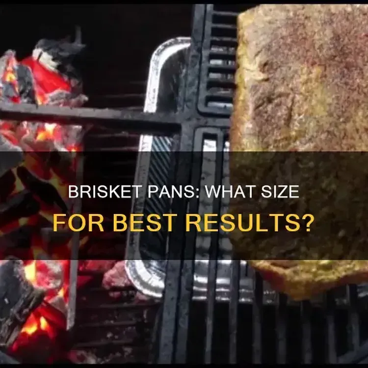 Free Grazly Beef Brisket Slabs Jerky