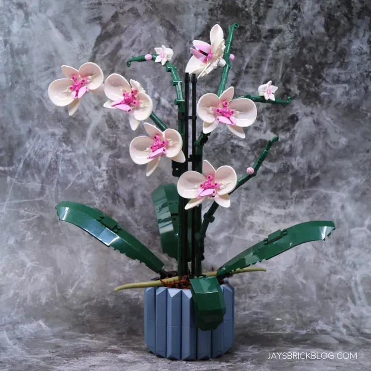 Free LEGO Orchid Set From Topcashback