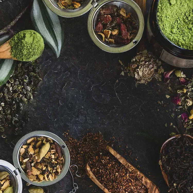 Free Mountain Rose Herbs Journal