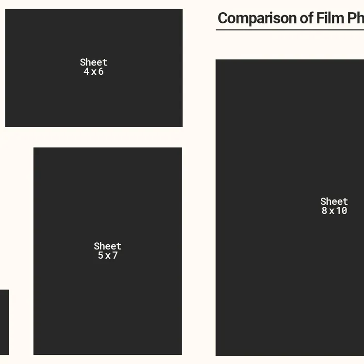Free Movie From Microsoft Rewards