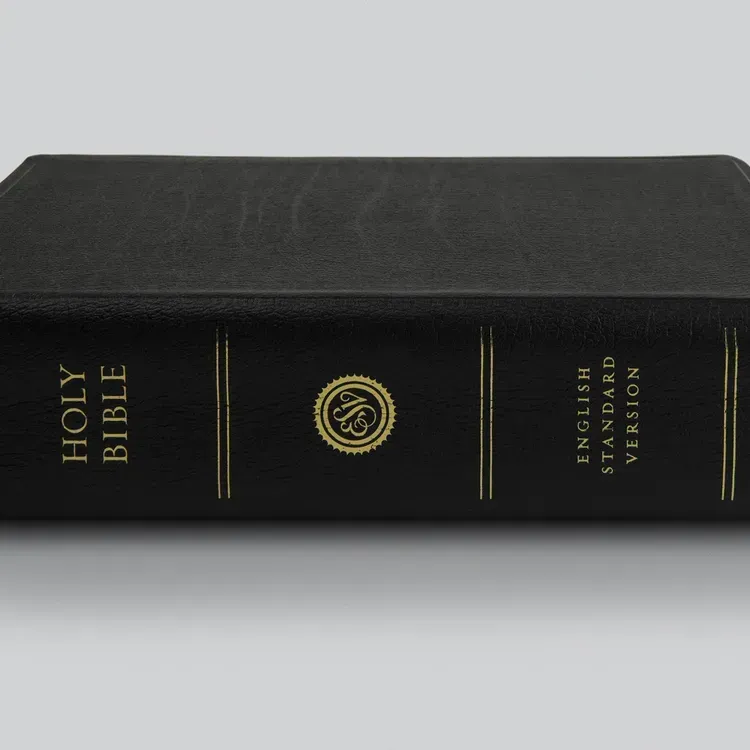 Free New Testament Cowboy Bible