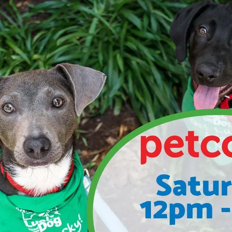 Free Pet Events At Petco Stores