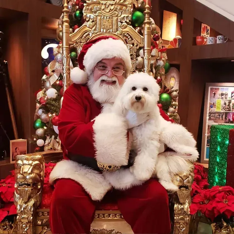 Free Pet Photos With Santa From Petco