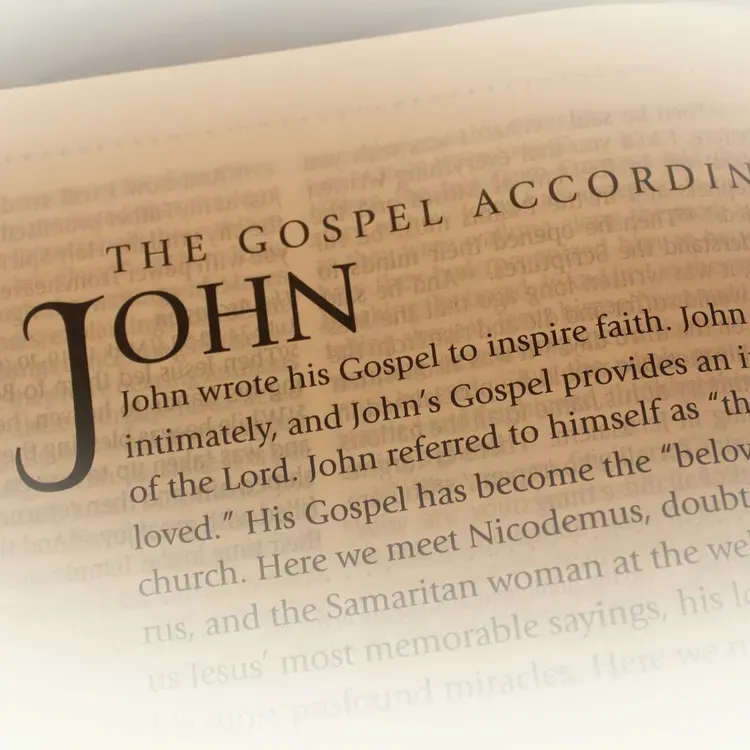 Free PTL Pocket-sized 3:16 Gospel Of John