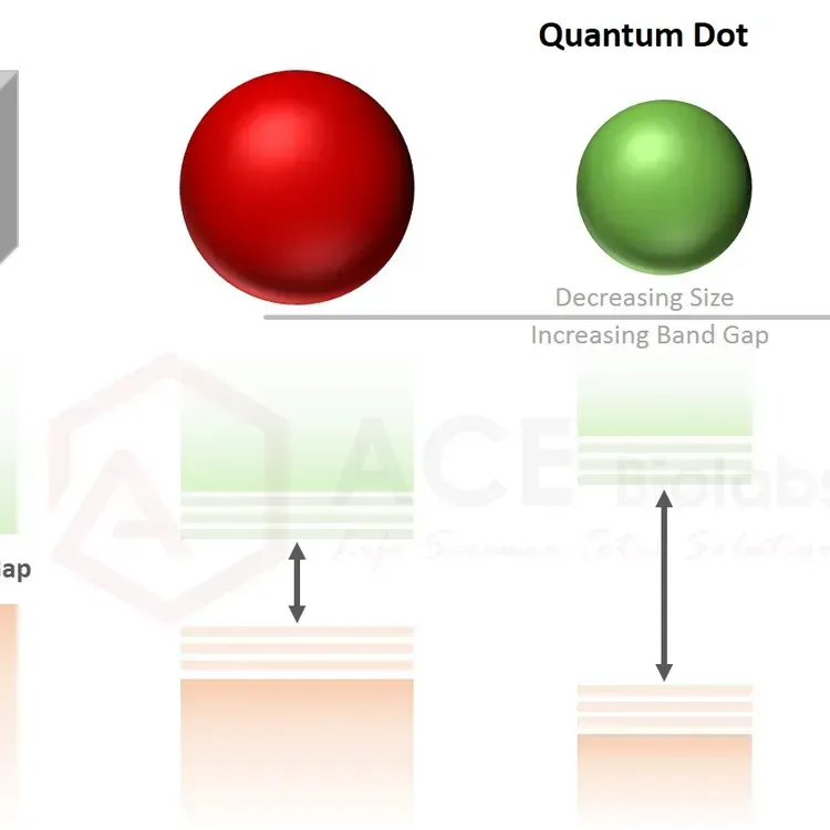 Free Quantum Energy Square
