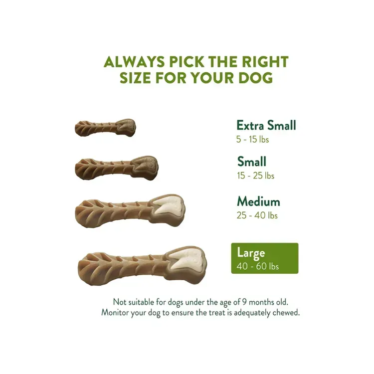 Free Rowdies Dog Treats