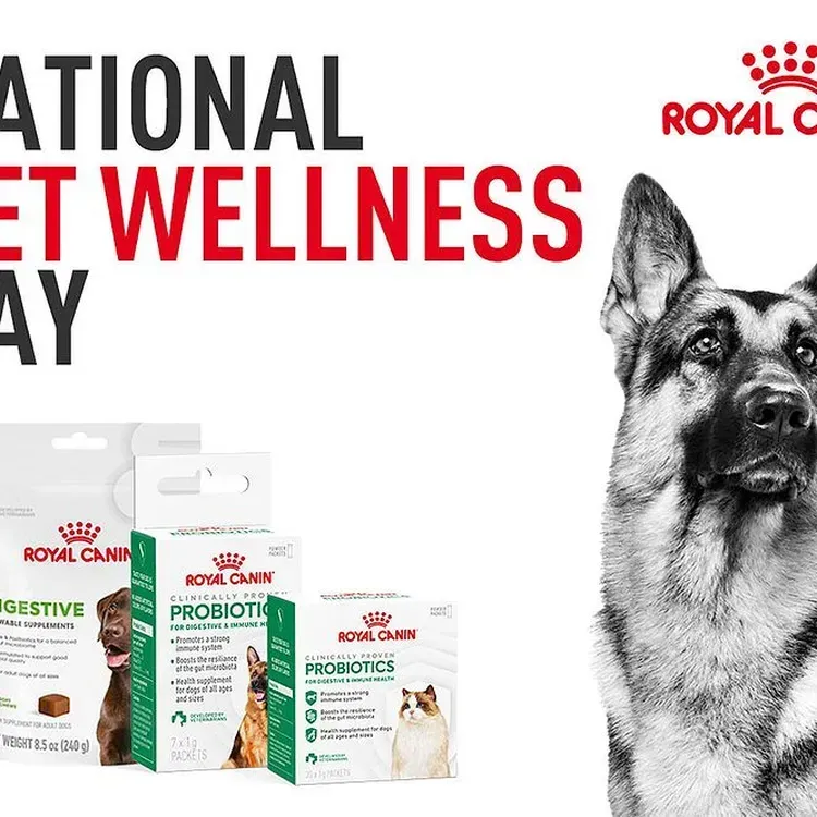 Free Royal Canin Chewable Supplements For Puppies From Ripple Street