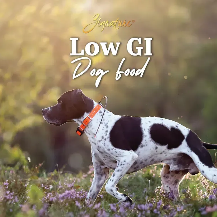 Free Zignature Low GI Food For Dogs Bag